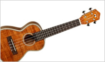 Ukulele