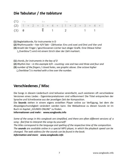 Tin Whistle Songbook - 25 Seemannslieder / Sea Shanties – Bild 3