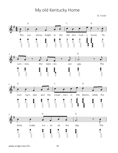 30 Lieder von Stephen C. Foster für die Tin Whistle – Bild 4