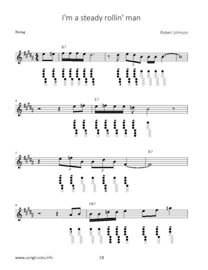 15 Songs by Robert Johnson für die Tin Whistle – Bild 4