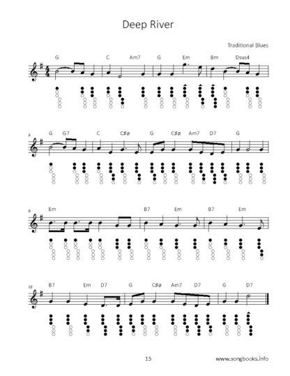 34 traditional Blues Songs für die Tin Whistle – Bild 4